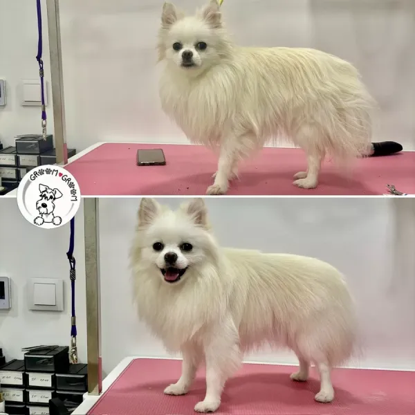 grooming-10