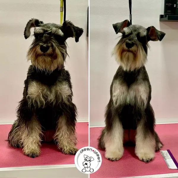 grooming-14
